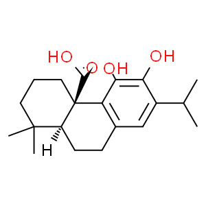 β