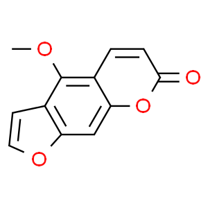 ָ